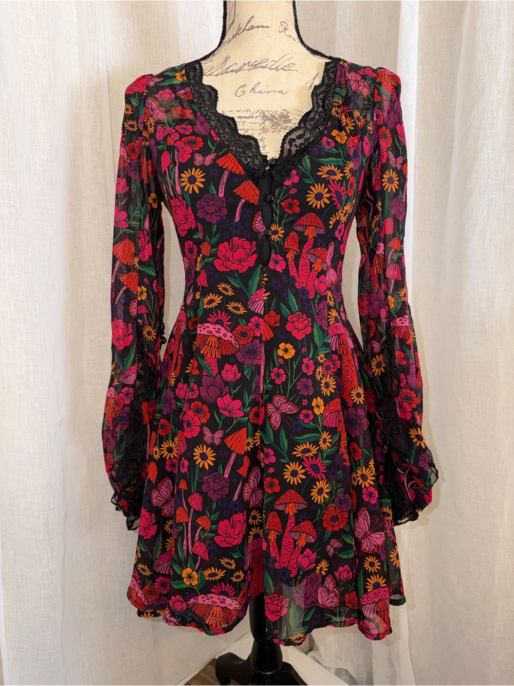 Daydreamer sheer floral mushroom lace long sleeve a line dress small whimsigoth